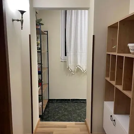 Apartment Chill N Play